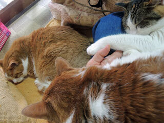 DSCN8815.jpg
