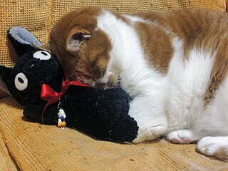DSCN8835.jpg
