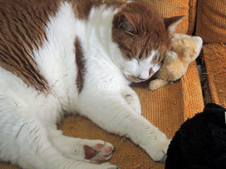 DSCN8840.jpg