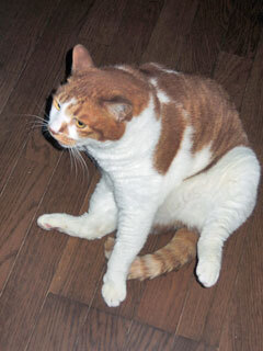 DSCN8845.jpg