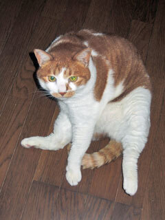 DSCN8846.jpg