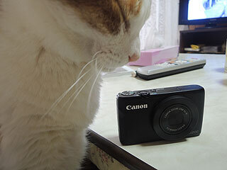 DSCN8859.jpg