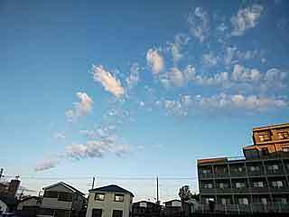 DSC_1083.jpg