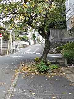 DSC_1218.jpg