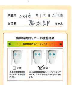 名称未設定-1.jpg