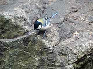IMG_0690.JPG