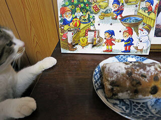 IMG_1226.jpg