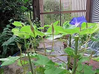 IMG_1602.jpg