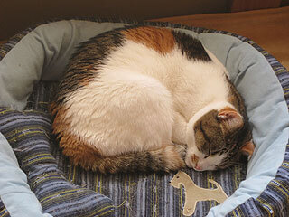 IMG_1684.jpg