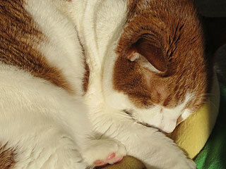 IMG_1686.jpg