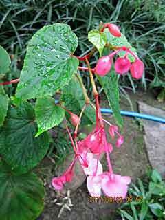 IMG_1919.jpg