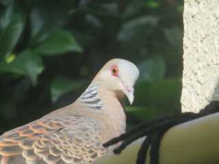 IMG_2768.JPG