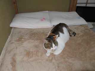 IMG_2810.JPG