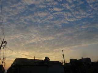 IMG_2827.JPG
