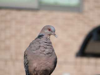 IMG_2841.JPG