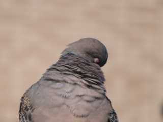 IMG_2842.JPG