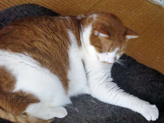 IMG_3563.jpg