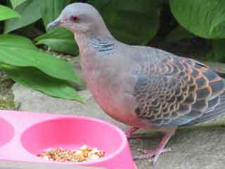 IMG_5743.JPG