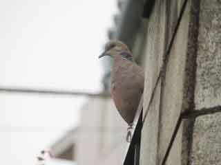 IMG_6065.JPG
