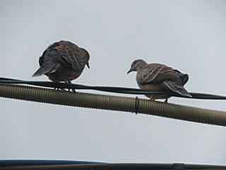 IMG_6357.JPG