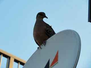 IMG_6783.JPG