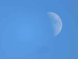 IMG_7110.JPG