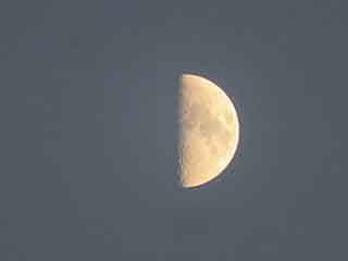 IMG_7536.JPG