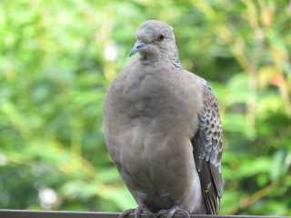 IMG_8207.JPG