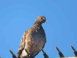 IMG_8334.JPG
