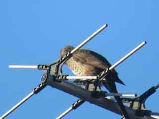 IMG_8336.JPG
