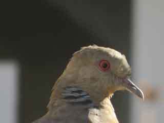 IMG_9013.JPG