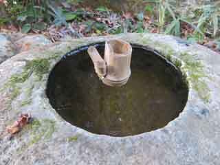 IMG_9480.JPG